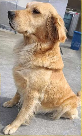Kira