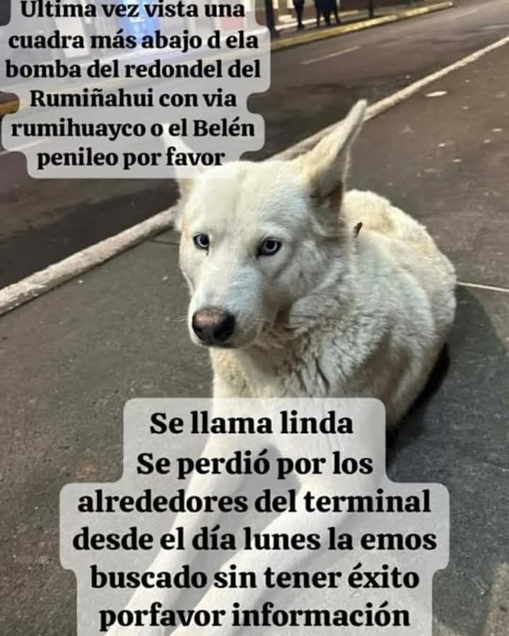 Linda